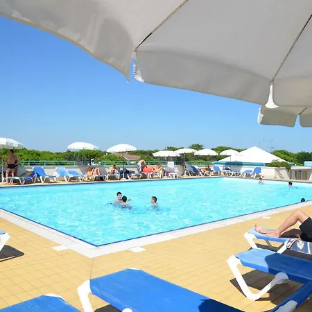 Pinewood * 비비오네